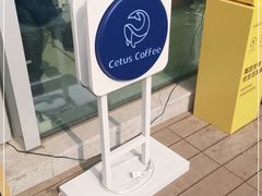 -Cetus coffee鲸鱼座咖啡·拼豆(二仙桥公园店)