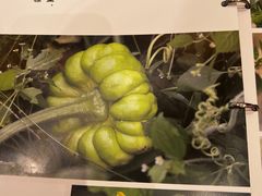 -云海肴·汽锅鸡·云南菜(东坝金隅店)