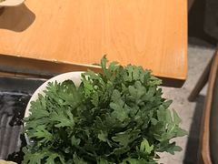 -江小渔鲜鱼火锅(冠亚星城店)