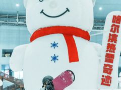 -哈尔滨热雪奇迹