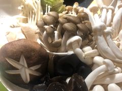 -洪氏嗨捞·广东猪肚鸡·椰子鸡火锅(西咸万象城店)