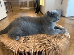 -Me Coffee下午茶艺术空间