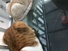 -小时光咖啡馆(北锣鼓巷店)