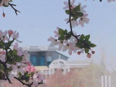 -万象影城(石家庄万象城IMAX激光店)