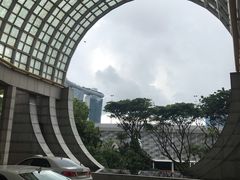 -新加坡丽思卡尔顿美年酒店