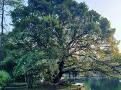 -晓港公园