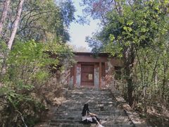 -青龙山国家森林公园