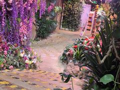 -正佳雨林生态植物园