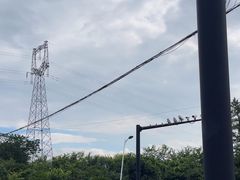 -东明山森林公园