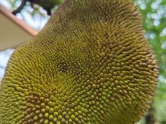 -七仙岭温泉国家森林公园