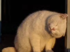 -金陵科技学院江宁校区-图书馆