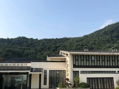-湘湖金融镇