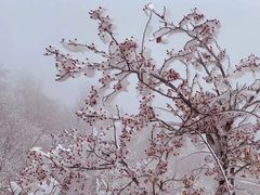 -沂蒙山旅游区云蒙景区(蒙山国家森林公园)