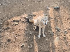 -石家庄市动物园