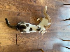 -251#coffee roasters(沿河东路店)