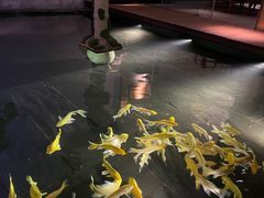 -觀芷隐轩