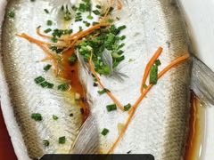 -丹水桥地锅鱼·翘嘴鲌·地方特色全鱼宴(丹江口大坝店)