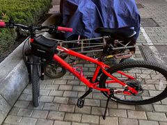 -道路口单车爱瓦士dahon大行