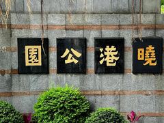 -晓港公园