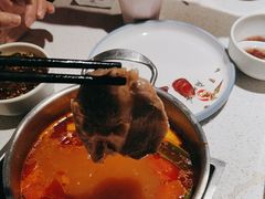 -麻辣因子滩羊火锅(世和广场店)