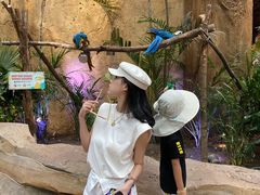 -杭州开元森泊度假乐园