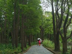 -东湖落雁景区