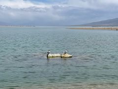 -青海湖国家重点风景名胜区