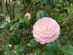 -华南国家植物园-售票处