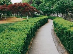 -中央公园(苏州工业园区)
