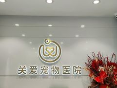 -关爱宠物医院·猫科中心·消化科(滨湖万达分院)