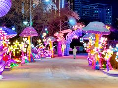 -沈阳奥体冰雪嘉年华