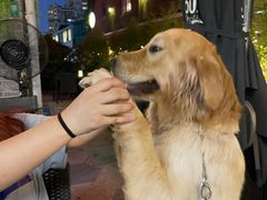 -Shanghai Brew House上海啤酒工坊(老外街店)