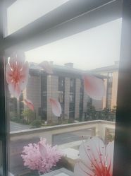 -杭州奥拉克医疗美容门诊部