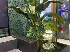 -芸山季·云南山珍菌火锅(南翔印象城MEGA店)