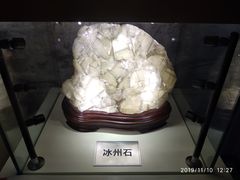 -陕西自然博物馆