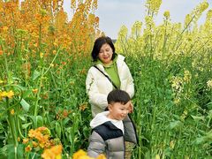 -三圣花乡旅游区