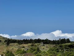 -真情鲍鱼海鲜汤