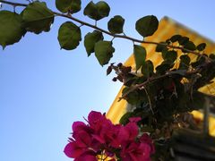 -乡绅本色白家厨坊