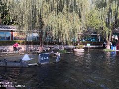 -百脉泉景区