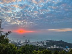 -广东惠东海龟国家级自然保护区