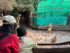 -长鹿旅游休博园