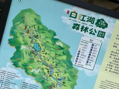 -广州白江湖森林公园