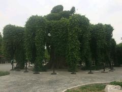 -石家庄市植物园