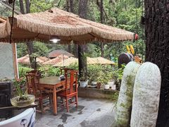 -小小饭店·休闲农庄·安吉松树林里的农家菜