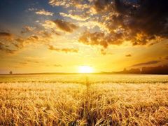 -LILY英语思维馆(玉泉路店)