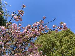 -长广溪湿地公园