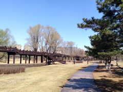 -蒲河岛湿地公园