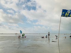 -北海金海湾红树林生态旅游区