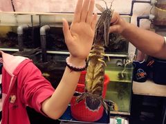 -ZF Seafood Restaurant 卓峰海鲜餐