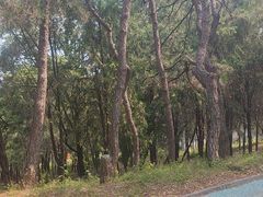 -青龙湖公园